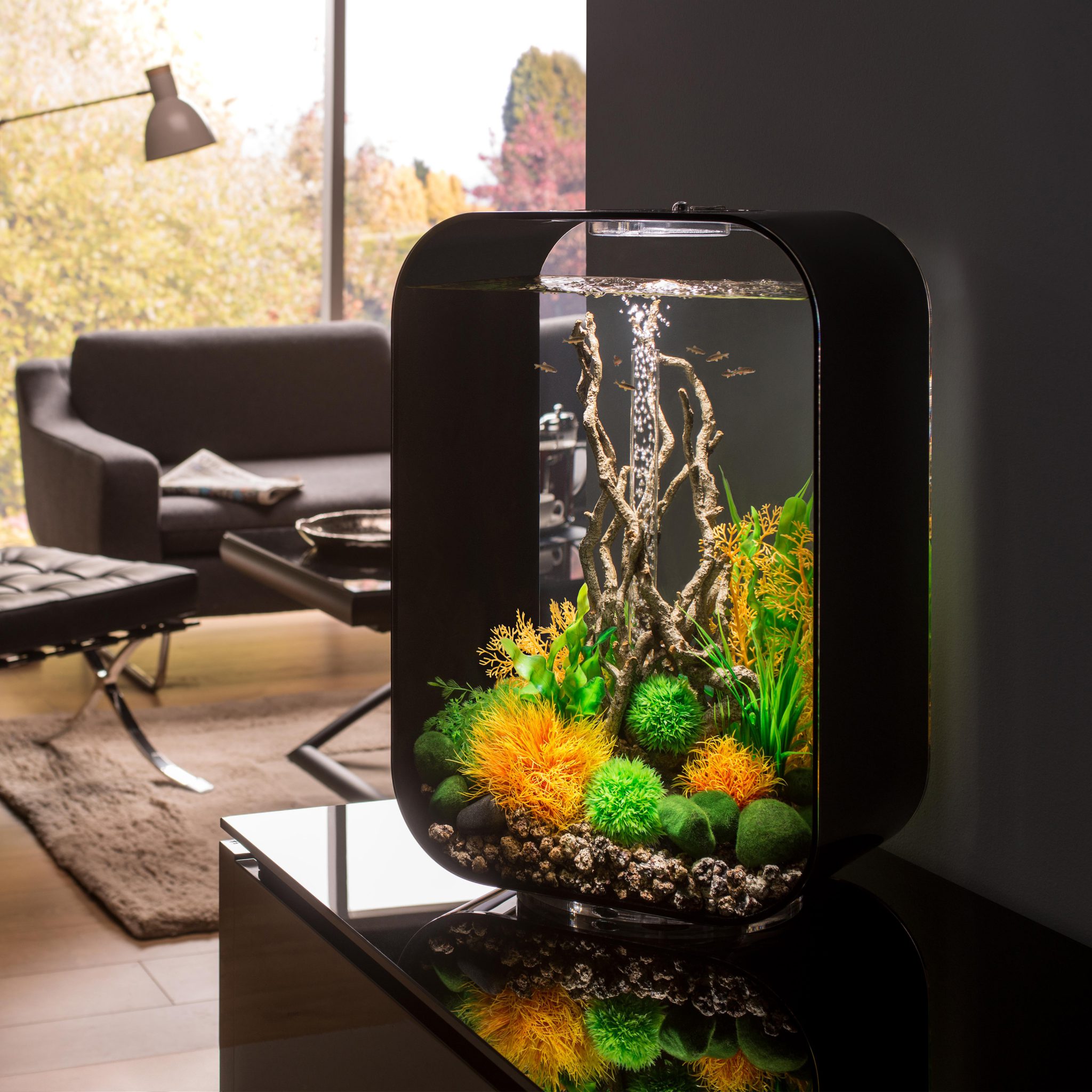 black light aquarium black light aquarium