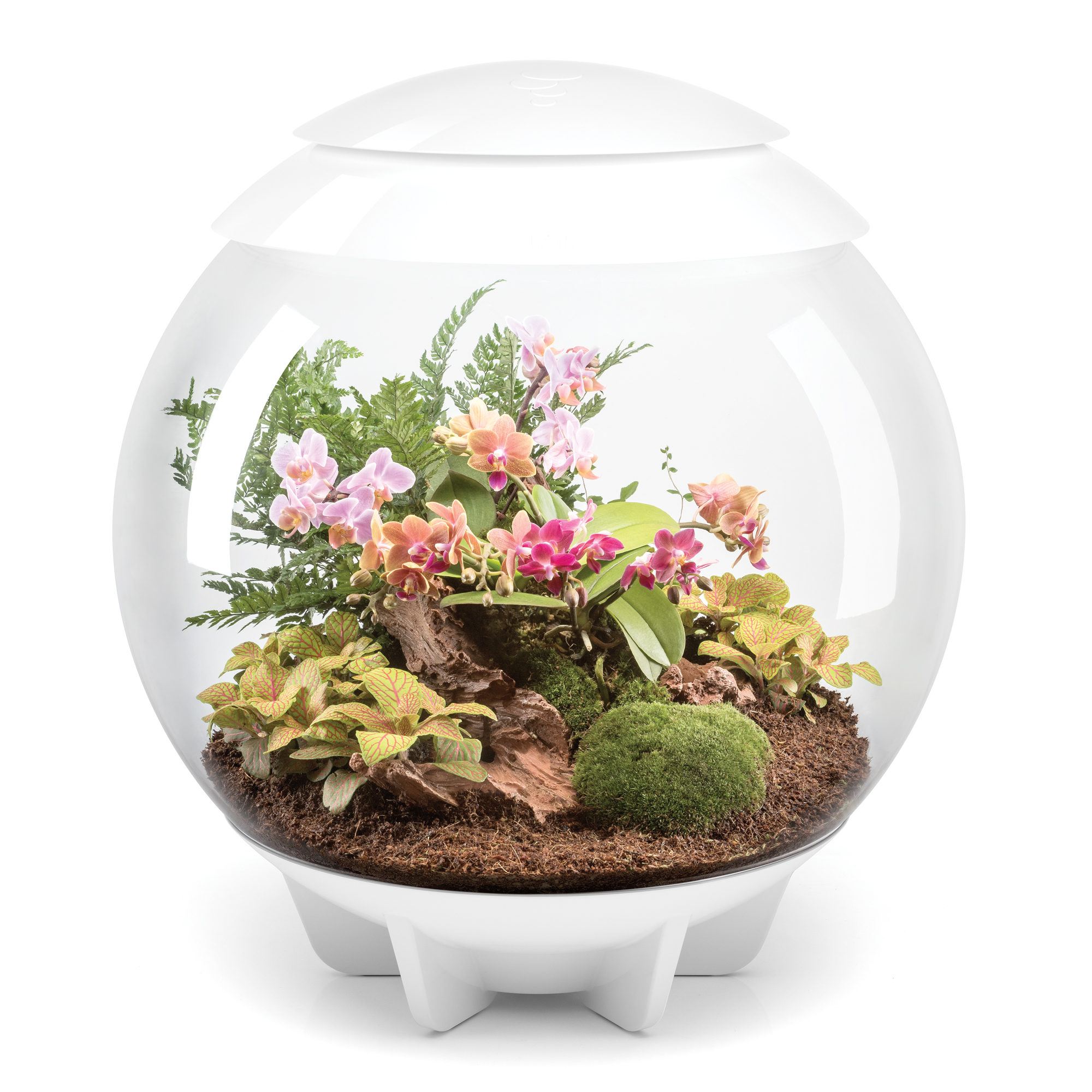 Snel condensor Vertrappen biOrb biOrbAIR 60 LED Terrarium - 16 gallon - white - 46147 - AZPonds &  Supplies