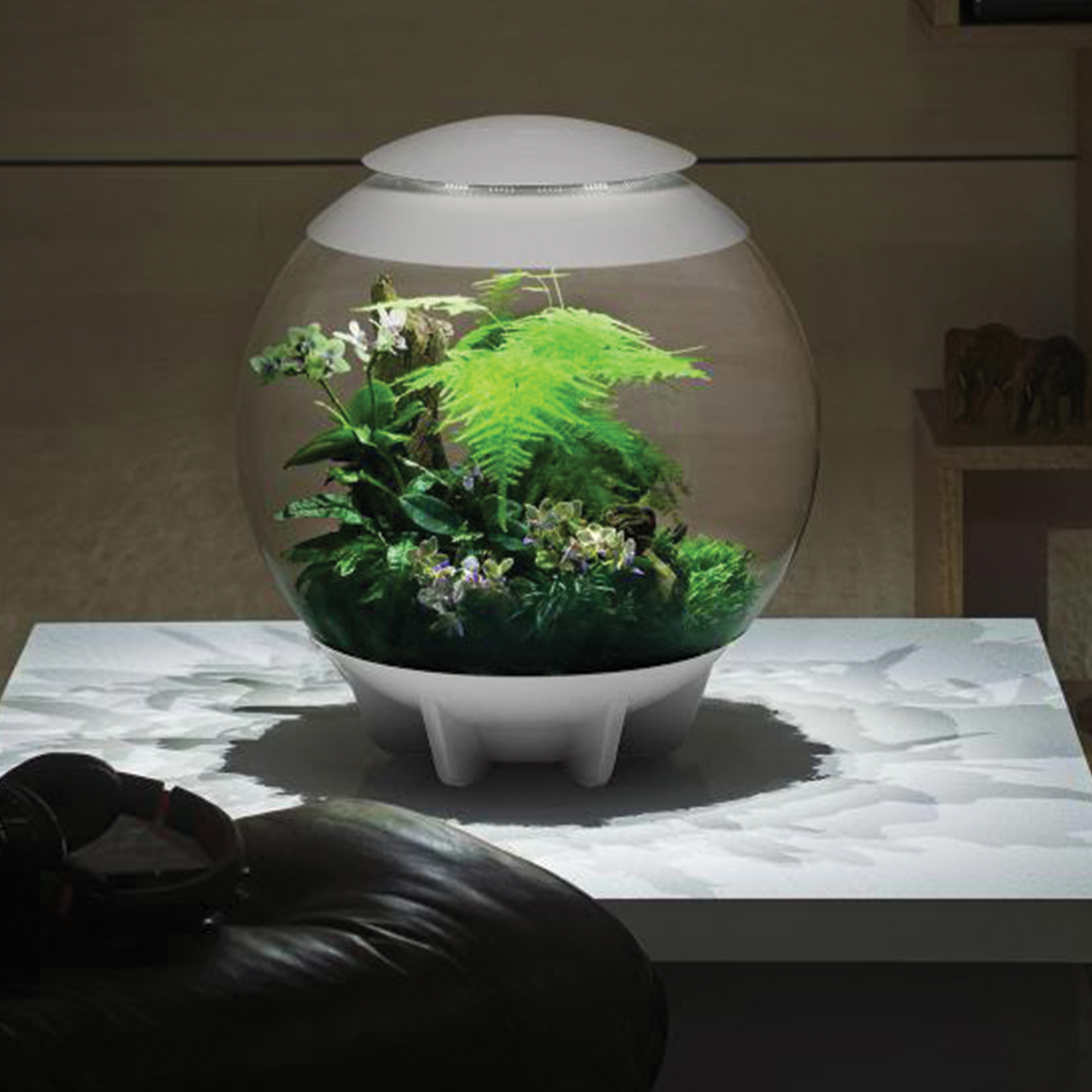 biOrb biOrbAIR 60 LED Terrarium - 16 gallon - white - 46147 AZPonds & Supplies