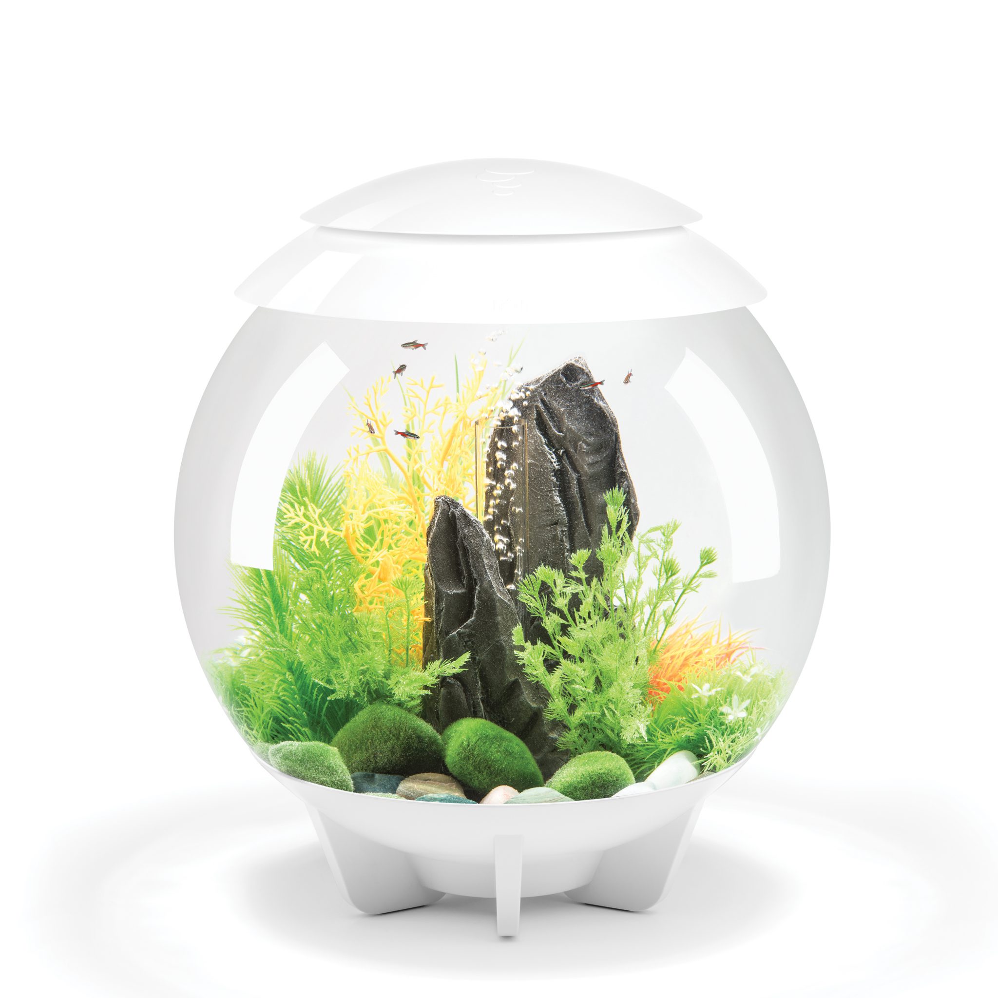 biOrb HALO 30 Aquarium with MCR Light - 8 gallon - white - 72042