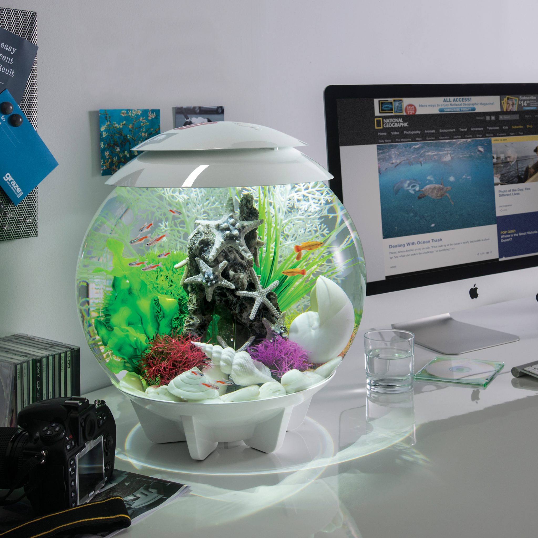 biOrb HALO 30 Aquarium with MCR Light - 8 gallon - white - 72042