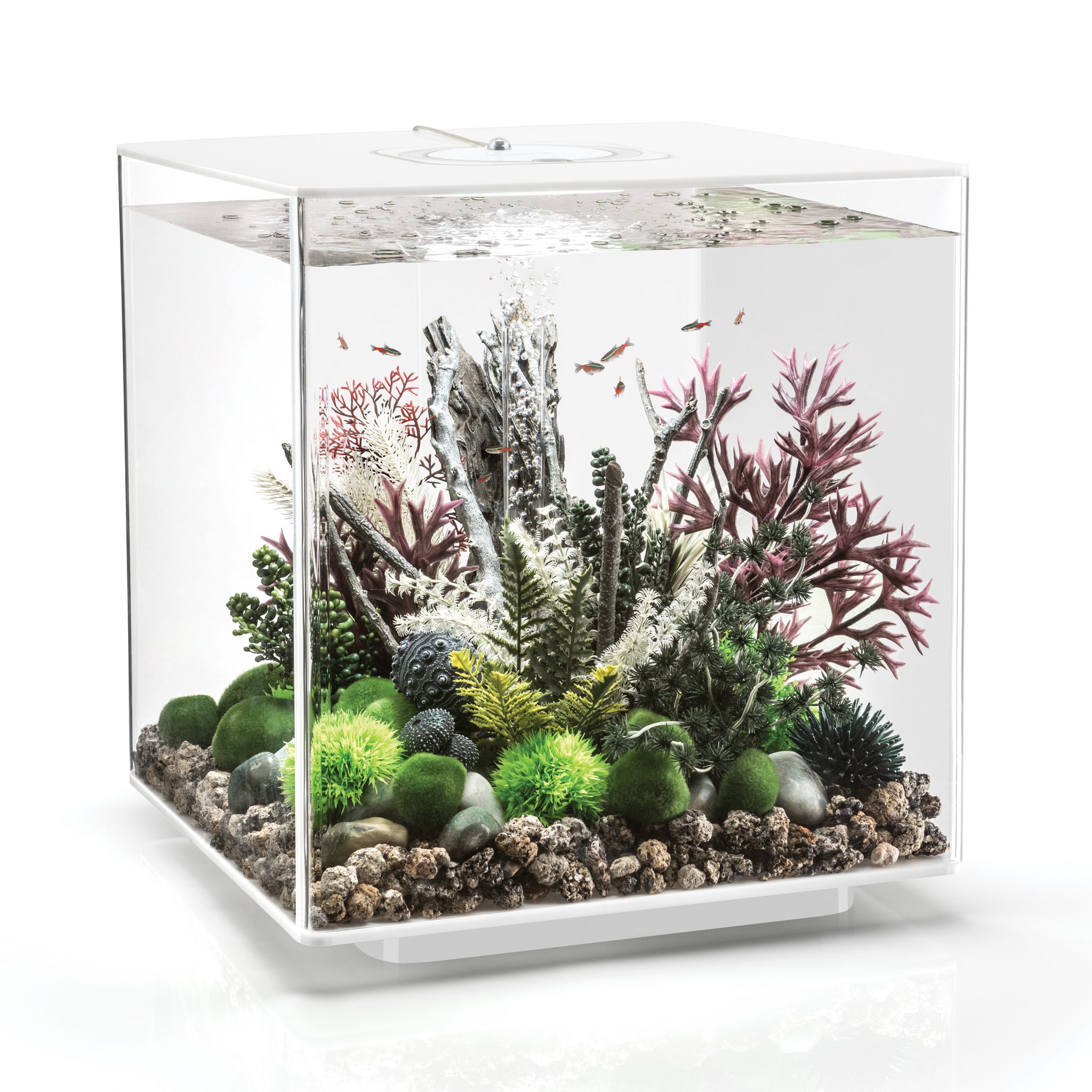 biOrb CUBE Aquarium with MCR Light - 16 gallon - white - 72028 - AZPonds &