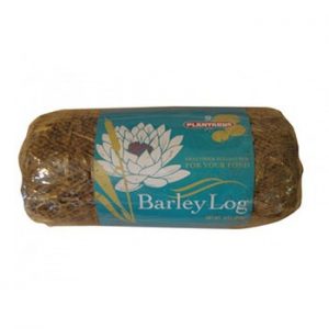Plantabbs Barley Log - 1 Log - PLTA3524