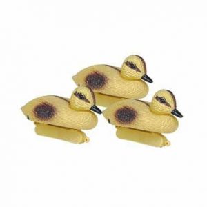 United Aquatics Ornamental Duckling  ft - DUC100