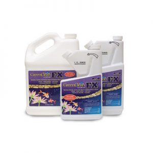Biosafe GreenCleanFX - 1 Gallon - 3600-1