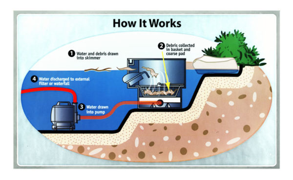 Tetra pond filter setup top