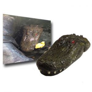 Jr. Alligator Decoy - blwgajr