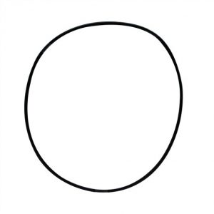 Laguna Lid O-Ring for Pressure-Flo 700 1400 1000 and 2000 - PT1535