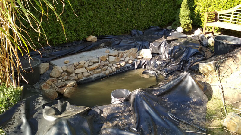 build-a-pond build-a-pond
