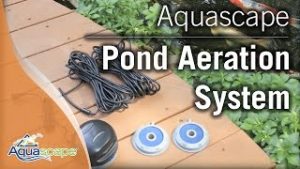 Air Pump Videos