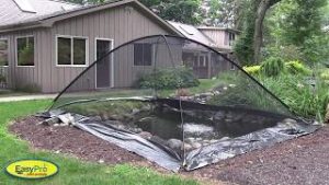 Netting Videos
