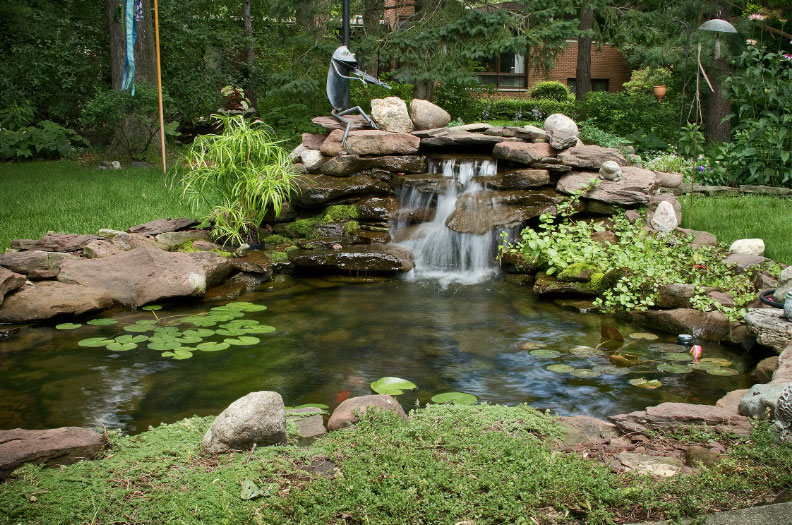 Koi sales pond skimmer