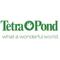 Tetra