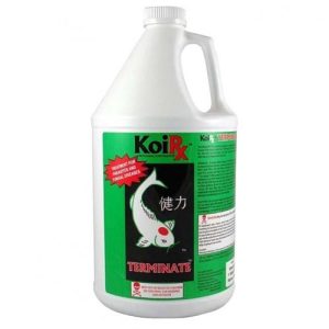 Aqua Meds Terminate 128 oz - TERM128