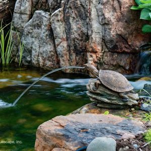 Aquascape Turtle on Log Spitter - 78371