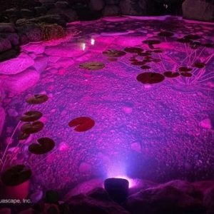 Aquascape 11-Watt Color-Changing Wide-Angle Light - 84076