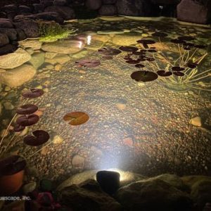 Aquascape 8-Watt Wide-Angle Light - 84077