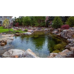 Aquascape Recreational Pond Kit – 19ft x 24ft - 53074