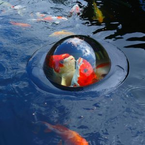 United Aquatics Floating Fish Dome 56 x 24 cm - AZVed502